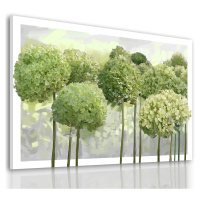 Obraz na plátně HORTENZIE zelené květy A různé rozměry Ludesign ludesign obrazy: 100x70 cm