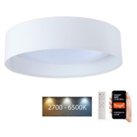 LED Stmívatelné svítidlo SMART GALAXY LED/24W/230V pr. 45 cm Wi-Fi Tuya + DO