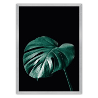 Dekoria Plakát Dark Monstera, 40 x 50 cm, Volba rámku: Stříbrný