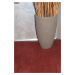 Tapibel Kusový koberec Supersoft 110 červený - 140x200 cm