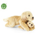 RAPPA Plyšový pes labrador s mládětem ležící 25 cm ECO-FRIENDLY