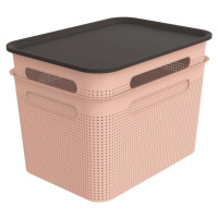 Světle růžové plastové úložné boxy s víkem v sadě 2 ks 26,5x36,5x26 cm Brisen – Rotho