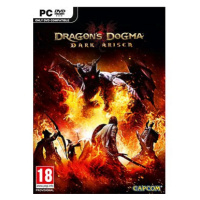 Dragon's Dogma: Dark Arisen (PC) DIGITAL