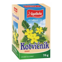 Apotheke Kotvičník zemní nať sypaný čaj 75 g