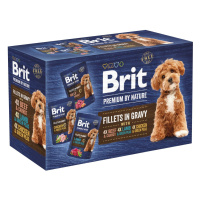 Brit Premium by Nature Adult Dog Fillets in Gravy Multipack 12 x 85 g