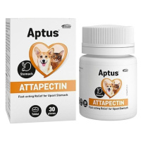 Orion Pharma Aptus Attapectin 30 tbl