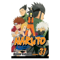 Naruto, Vol. 37: Shikamaru's Battle - Masashi Kishimoto - kniha z kategorie Sci-fi, fantasy a ko