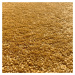 Vopi Kusový koberec Eton lux žlutá