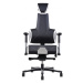 PROWORK zdravotní židle Therapia E+ Gamer Black/White HX50/RX57