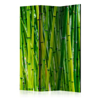 Paraván Bamboo Forest Dekorhome 225x172 cm (5-dílný)