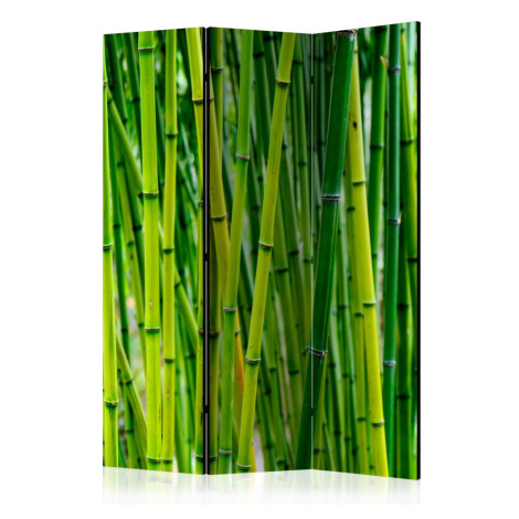 Paraván Bamboo Forest Dekorhome 225x172 cm (5-dílný) Artgeist