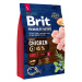 Brit Premium by Nature Adult Large Breed Chicken - 3 kg