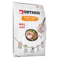 Ontario Cat Shorthair 6,5 kg