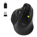 PORT CONNECT ERGONOMIC TRACKBALL, černá