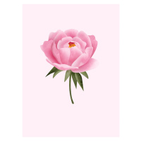 Ilustrace Peony statement, Blursbyai, 30 × 40 cm