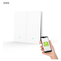 Gosund  Smart light switch SW9