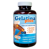 Gelatina Plus 360 kapslí