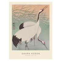 Obrazová reprodukce Two Cranes (Special Edition) - Ohara Koson, 30 × 40 cm