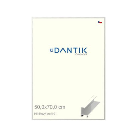 DANTIK rámeček 50 × 70, ALU profil 6001 Stříbrný lesklý plexi čiré