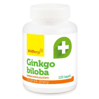 Wolfberry Ginkgo biloba 120 kapslí