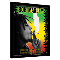 Obraz na zeď - Bob Marley - Herb