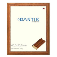 DANTIK rámeček 40 × 50, LYON hnědý plexi čiré