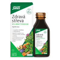 Salus Zdravá střeva bylinné tonikum 250 ml