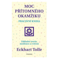 Moc přítomného okamžiku – pracovní kniha