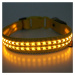 Reedog luminous USB svíticí obojek pro malé, střední a velké psy - žlutá - M