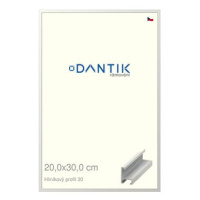 DANTIK rámeček 20 × 30, ALU profil 6030 Bílý matný sklo čiré