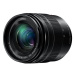 Panasonic Lumix G Vario 12-60mm f/3.5-5.6 ASPH Power OIS