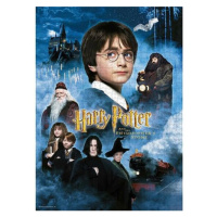 Puzzle - Plakát Harry Potter a Kámen mudrců, 1000 dílků