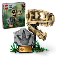 LEGO® Jurassic World 76964 Dinosauří fosilie: Lebka T-rexe