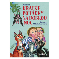 Krátké pohádky na dobrou noc - Milada Kudrnová, Jan Zima - e-kniha