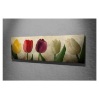 Hanah Home Obraz Tulipány 80x30 cm