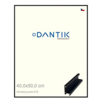 DANTIK rámeček 40 × 50, ALU profil 7273 Černý matný sklo čiré