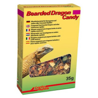 Lucky Reptile Bearded Dragon Candy 35 g