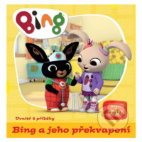 Bing a jeho překvapení - kniha z kategorie Pohádky