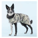Ochranná pláštěnka pro psy Paikka - maskáčová Velikost: 45