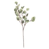Dekoria Větvička Eukaliptusa 68cm, 10 x 5 x 68 cm