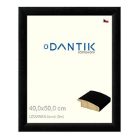 DANTIK rámeček 40 × 50, LEDVINKA černý sklo čiré