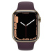 Apple Watch Series 7 Cellular, 45mm, Gold, Stainless Steel, Dark Cherry Sport Band - MKJX3HC/A