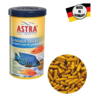 Astra Cichliden sticks 250 ml