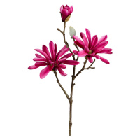 Umélá Rostlina Magnolie, V: 45cm