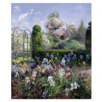 Obrazová reprodukce Irises in the Formal Gardens, 1993, Timothy Easton, 35 × 40 cm