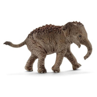 Schleich 14755 Asijské slůně