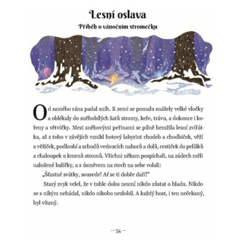 Vánoční příběhy skřítka Karlíka - Bernadetta Borodziuk ALBATROS