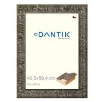 DANTIK rámeček 42 × 59,4, Dora Silver plexi čiré