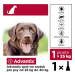 Advantix Antiparazitikum pro psy nad 25kg spot-on 1x4ml