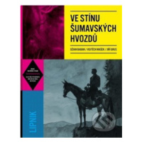 Ve stínu šumavských hvozdů - Džian Baban, Vojtěch Mašek, Jiří Grus - kniha z kategorie Komiksy